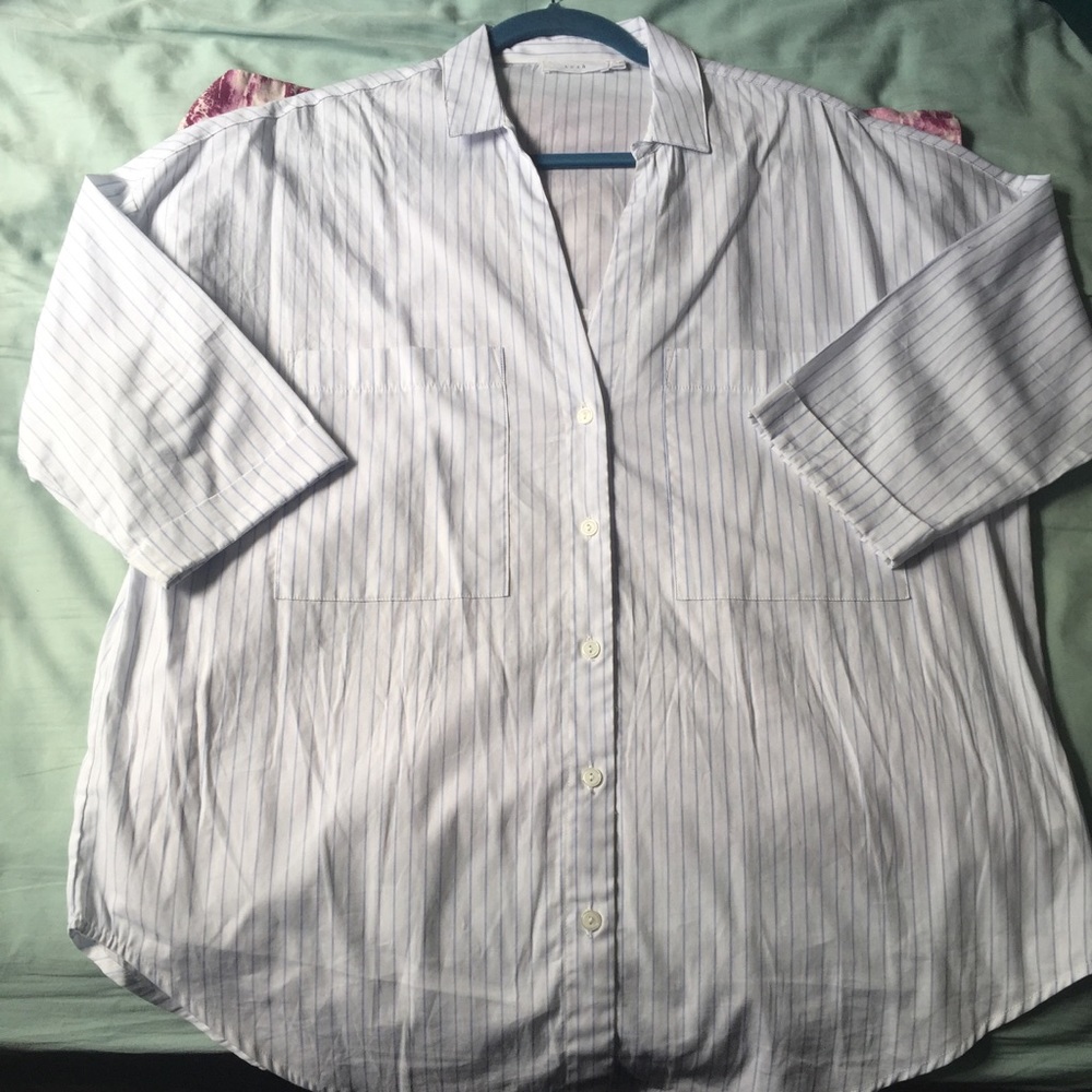Lush Stripe Buttondown